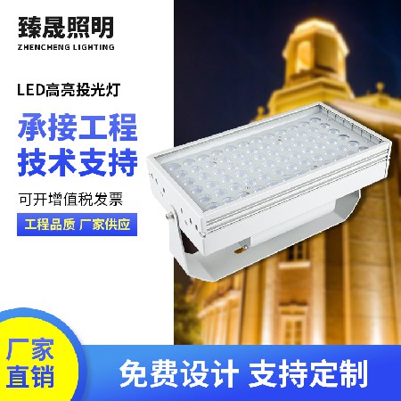 LED大型投光灯园林大楼桥梁亮化舞台灯多规格现货投光灯投射灯
